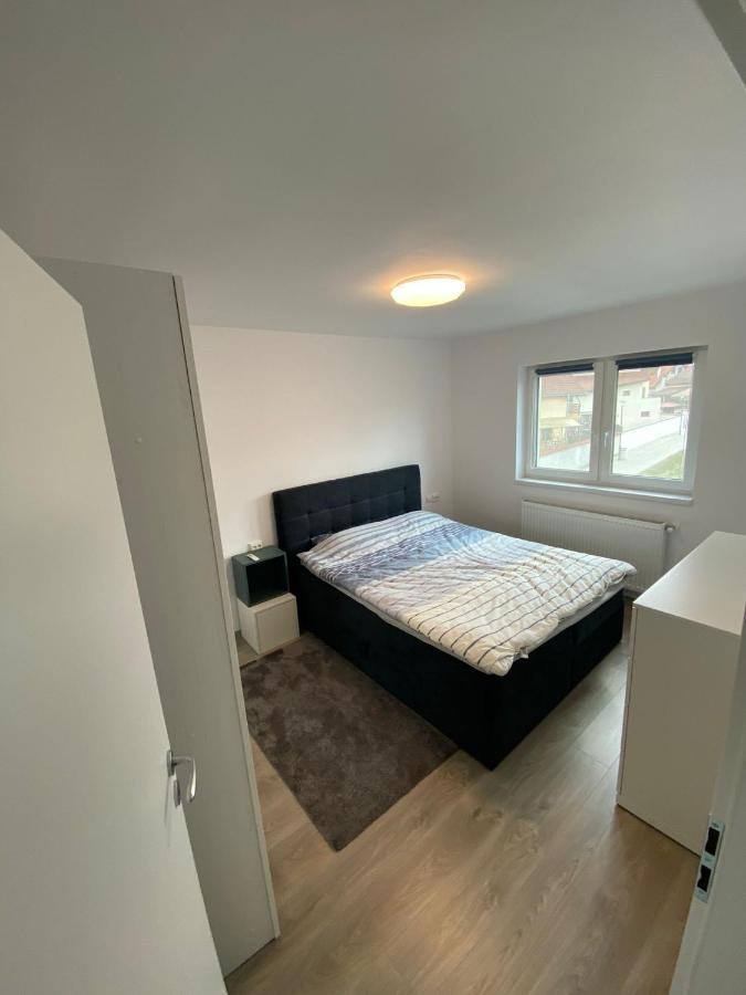 Apartament „Viena” - 2 Camere Selimbar Luaran gambar